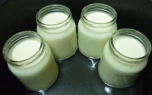 Sữa Chua Trân Châu