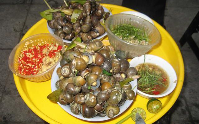 Ốc, Sò, Trứng Chim Cút - Hoàng Minh Thảo
