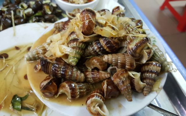 Ốc Cô Lời