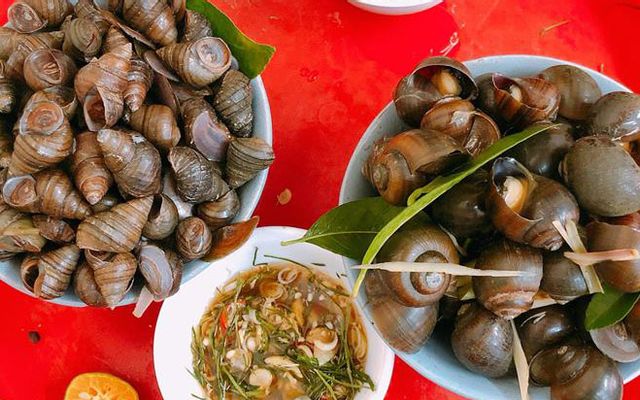 Ốc Mít