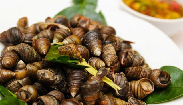 Sò Gạo Hấp