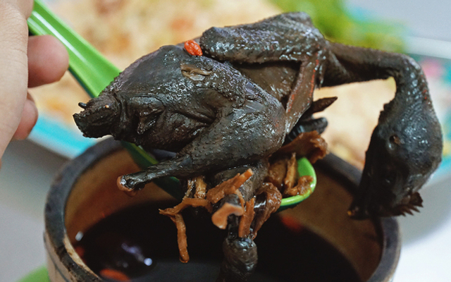 Món Ăn Bổ Dưỡng - Văn Cao