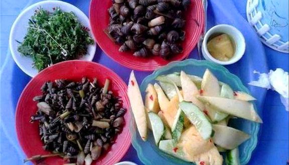 Hoa Ốc