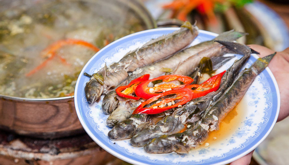 Hiếu Béo Quán - Hoàng Minh Thảo