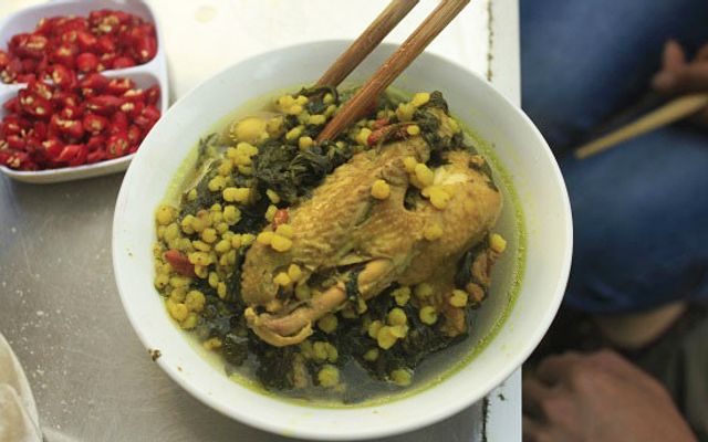 Cô Hữu - Gà Tần Hải Phòng