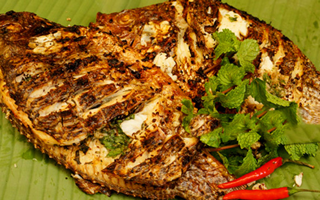 Cá Nướng Khiêm Trọc