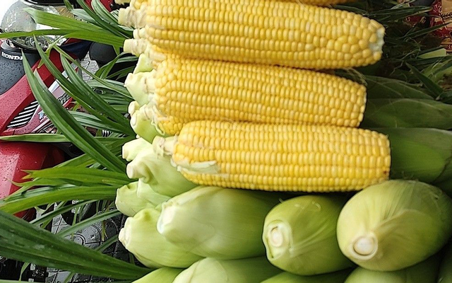 Bắp Mỹ Hấp Lá Dứa
