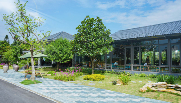 Trà Tắc Phúc Bồn Tử