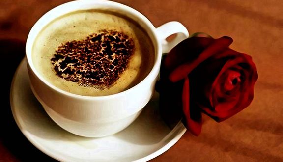 The Buk Coffee - Nguyễn Phong Sắc