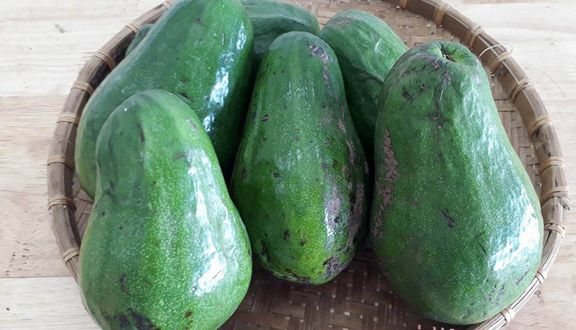 Thực Phẩm Sạch Nông Pro