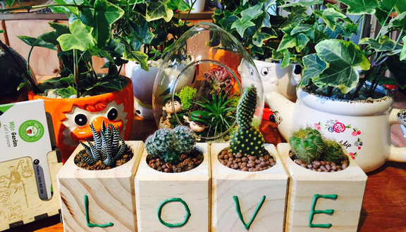 Mộc Garden - Terrarium - Sen Đá & Cây Văn Phòng