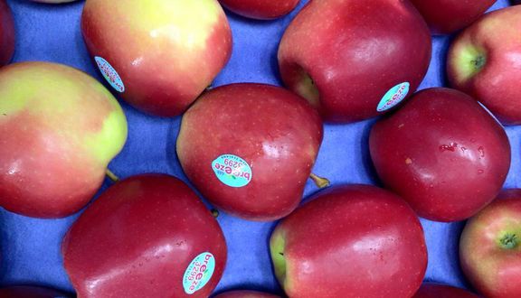 Hana Fruit - Trái Cây Nhập Khẩu