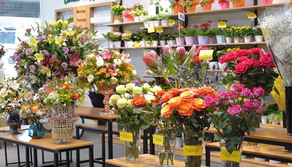 Dalat Hasfarm Đà Nẵng - Shop Hoa Tươi