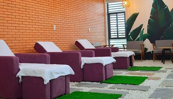 Dấm ấn bồ công anh 60'