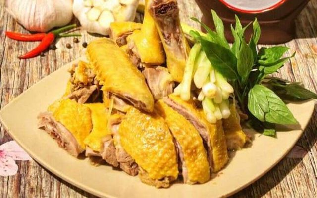 Ngan Chặt Gật Đầu - Trung Văn