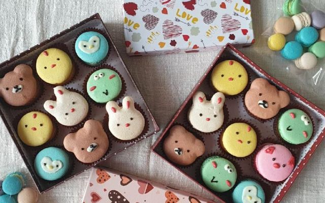 Set Macaron cầu vồng