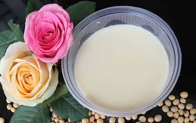 Bà Xã Đậu Hũ - Nguyên Chất Singapore