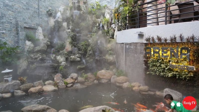 Arena Koi Coffee