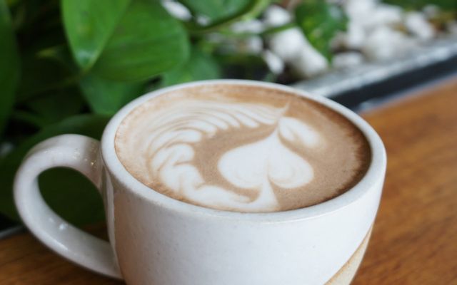 Alfa Coffee