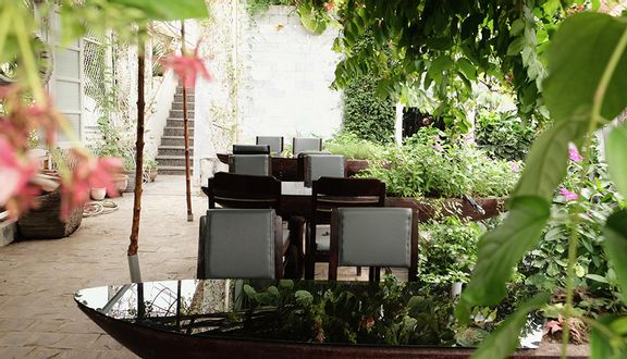 Xí muội đỏ