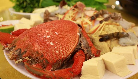 San Hô Đỏ
