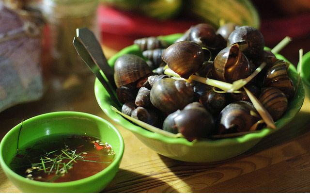 Ốc Mỡ