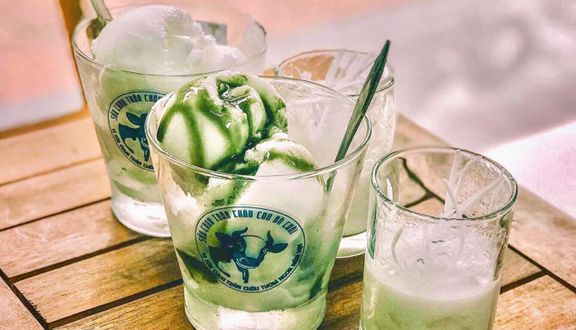 Sữa chua nama matcha chocolate